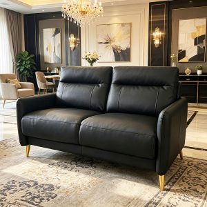 2 Seater Genuine Leather Sofa