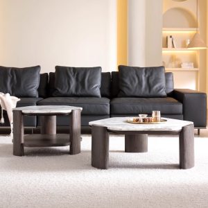2 In 1 Sintered Stone Coffee Table